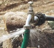 800میلیون متر مکعب آب در سال هدر می‌رود/ مصرفه سرانه ایرانیان سه برابر مردم دنیاست